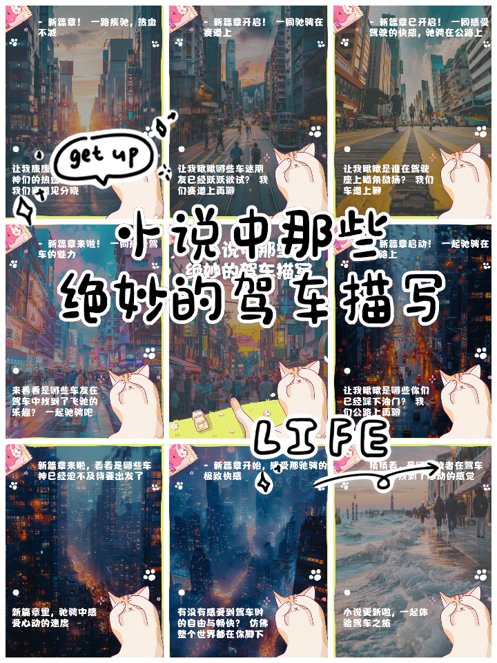 热血追逐：车迷与车手的亲密互动