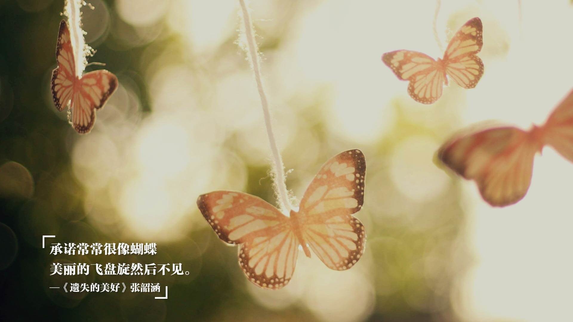 塞内加尔骑手马马杜·巴在非洲马术锦标赛后成为马术协会主席，推动马术运动发展。