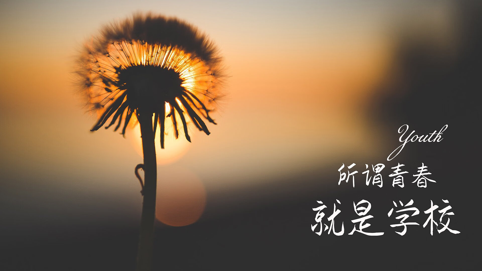 电竞战队的成绩回顾：经验总结与未来展望，电竞战队盈利吗