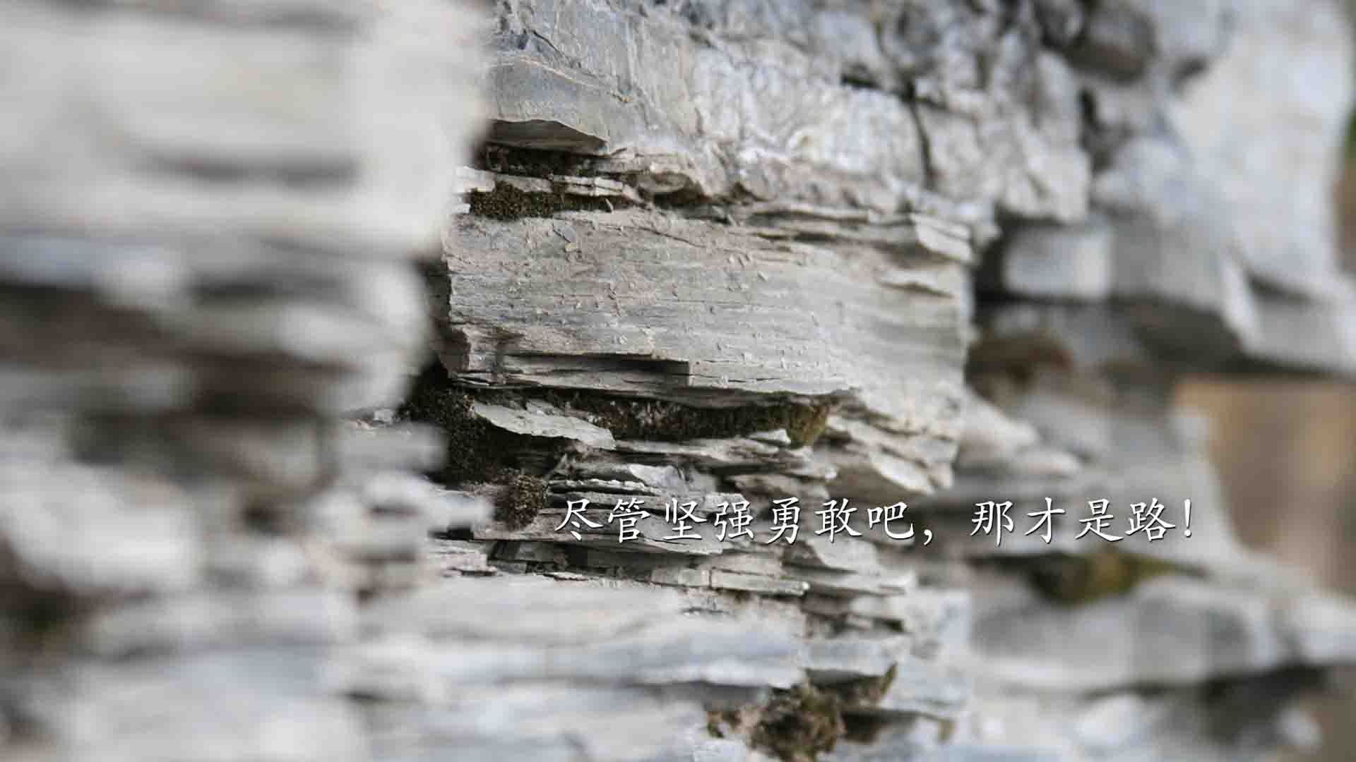 速度狂人：联盟中速度最快的球员PK，速度快的nba球员