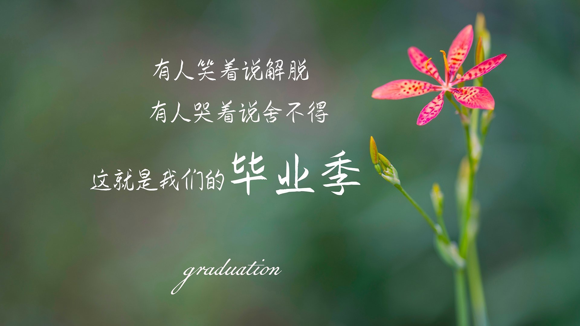 中超联赛的俱乐部运营策略分析实施方案，中超俱乐部所有者结构