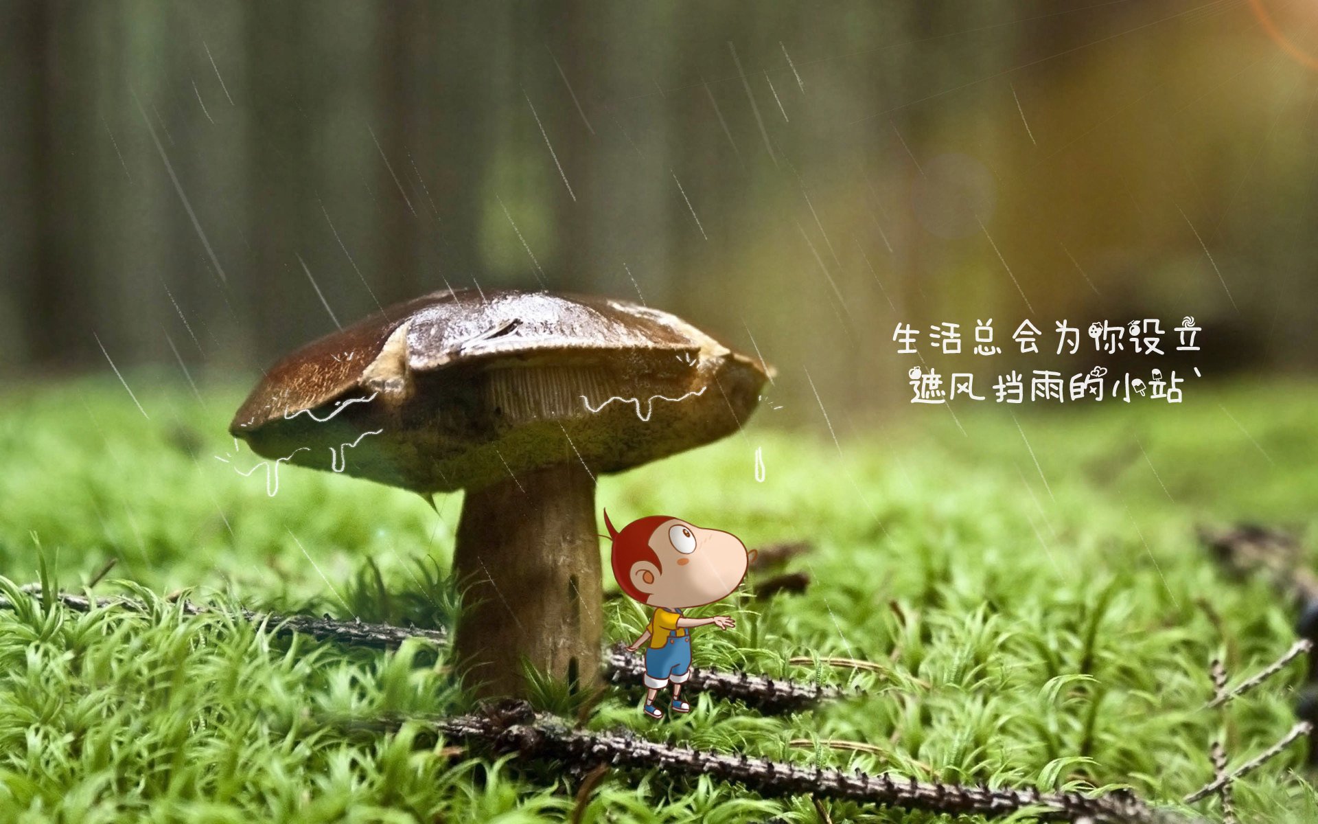 克罗地亚冲刺比利时：胜负难分高下，足球克罗地亚vs比利时