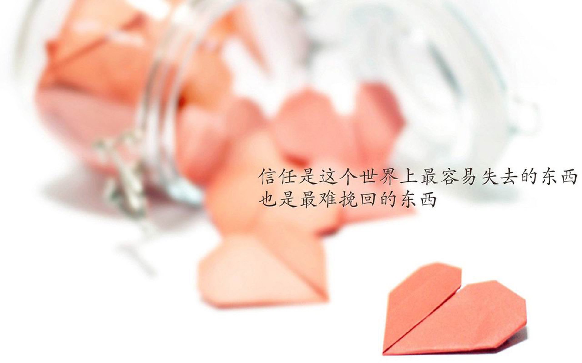 热火队球员合力表现 全队战绩持续稳定，热火队的阵容