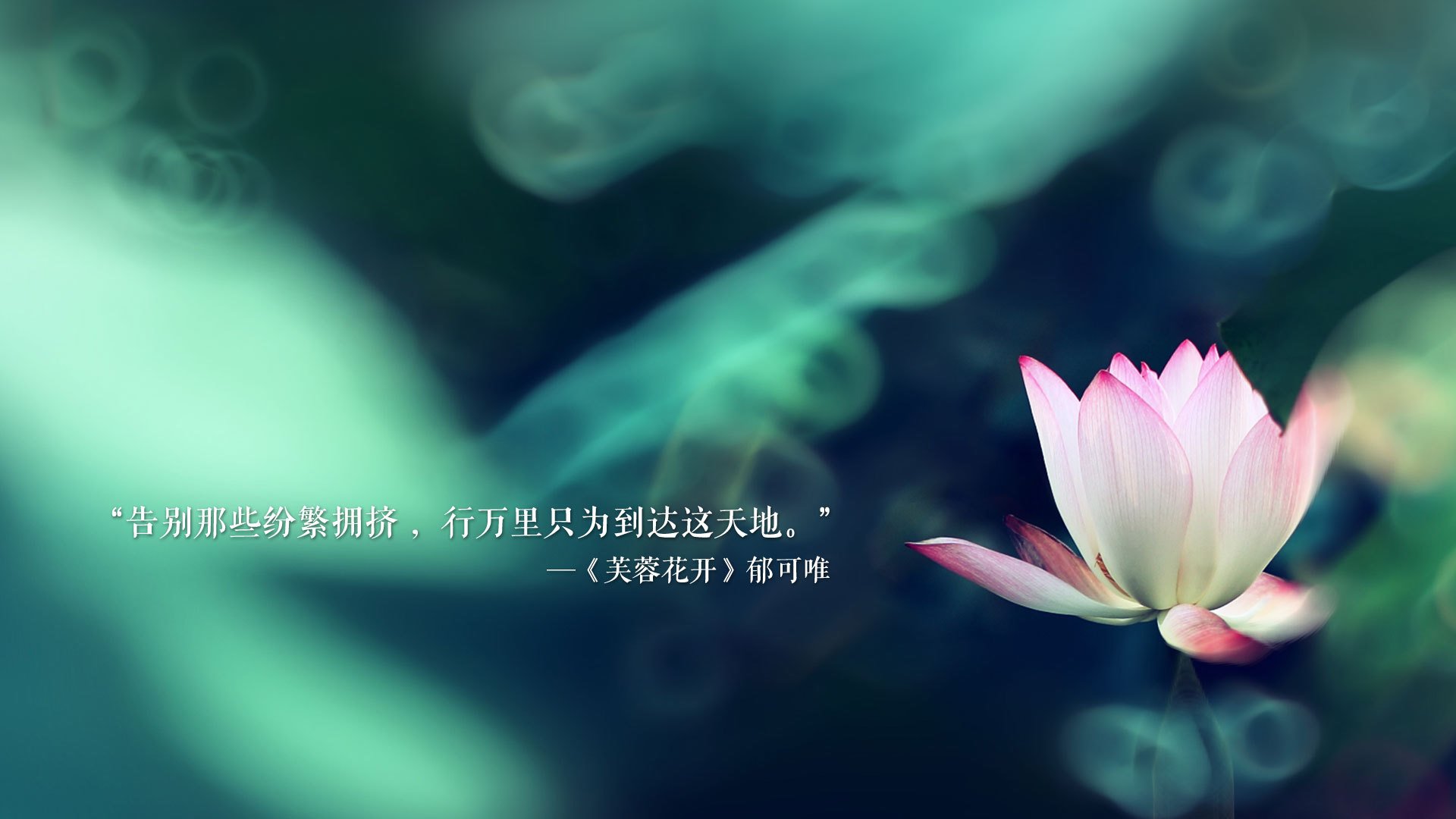 独立队年轻球员入选国家队，独立队年轻球员入选国家队了吗