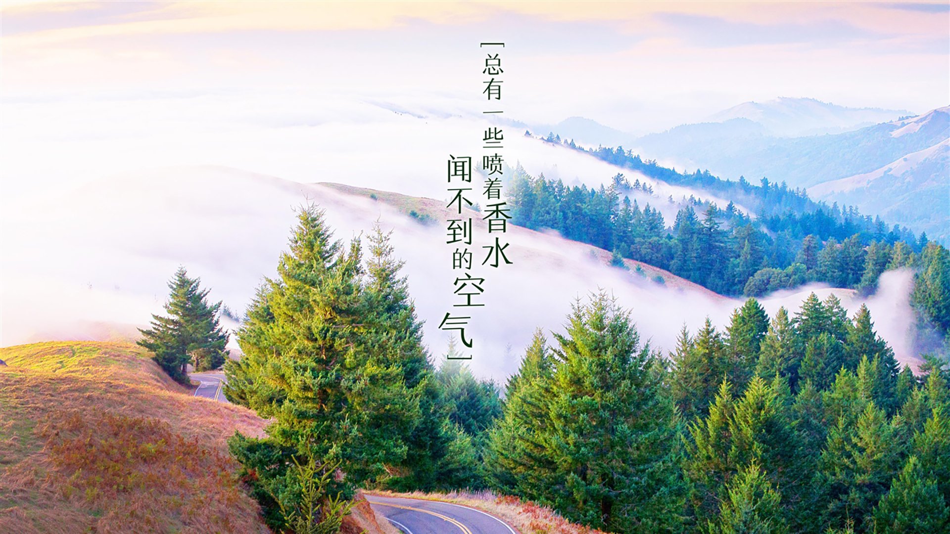 体育纪录片聚焦退役运动员创业经历，退役运动员现状