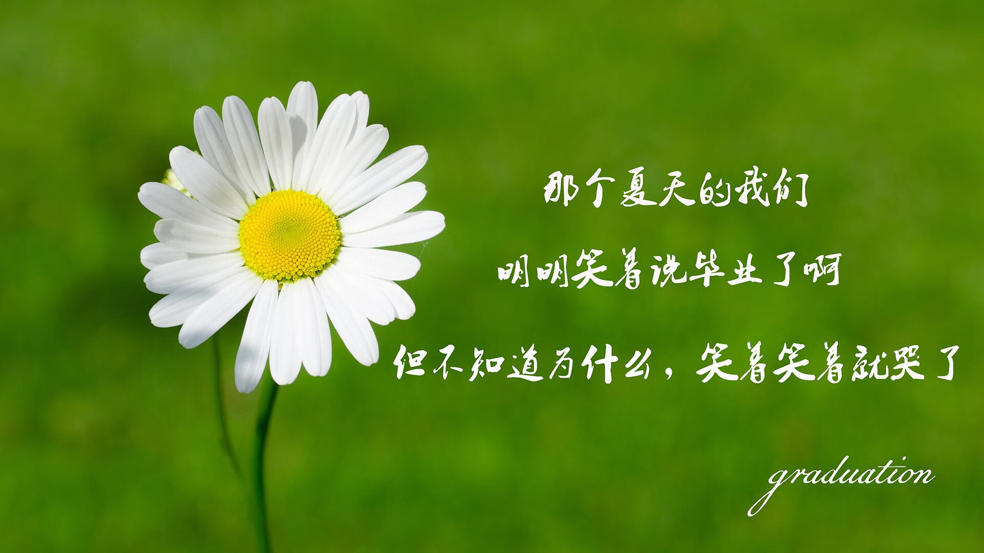 足球守门员专项数据分析平台上线，足球守门员号码是多少