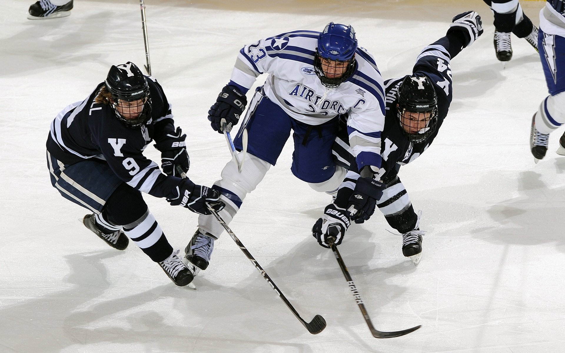 克罗地亚马术协会开展马匹福利宣传活动，提升公众意识。